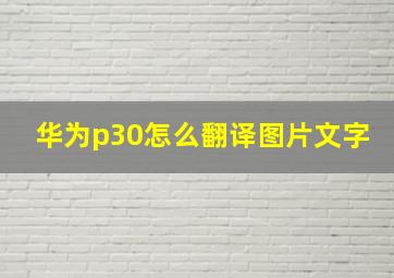 华为p30怎么翻译图片文字