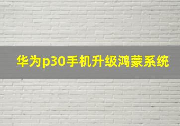 华为p30手机升级鸿蒙系统