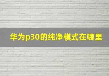 华为p30的纯净模式在哪里