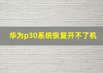 华为p30系统恢复开不了机