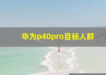 华为p40pro目标人群