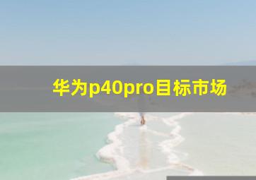 华为p40pro目标市场