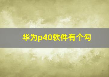 华为p40软件有个勾