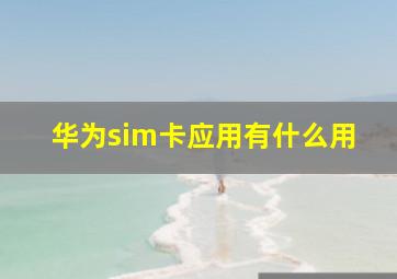 华为sim卡应用有什么用