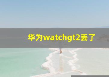 华为watchgt2丢了