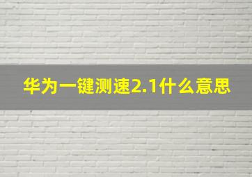 华为一键测速2.1什么意思