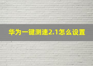 华为一键测速2.1怎么设置