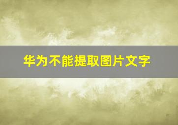 华为不能提取图片文字