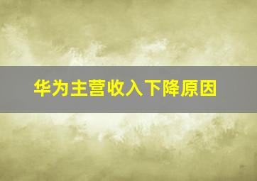 华为主营收入下降原因