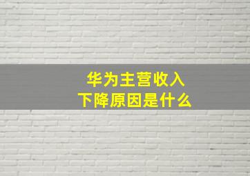 华为主营收入下降原因是什么