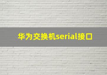 华为交换机serial接口