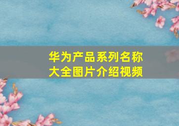 华为产品系列名称大全图片介绍视频