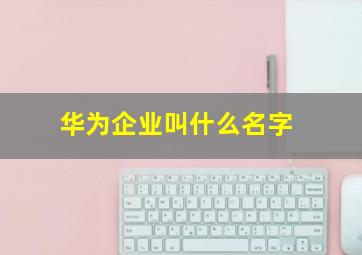 华为企业叫什么名字