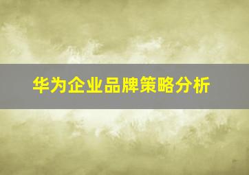 华为企业品牌策略分析