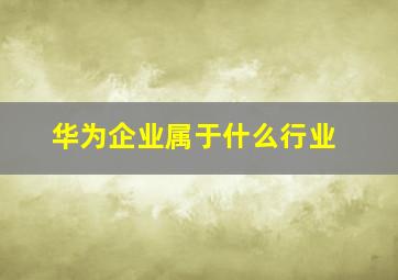 华为企业属于什么行业