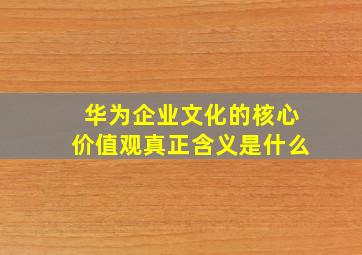 华为企业文化的核心价值观真正含义是什么