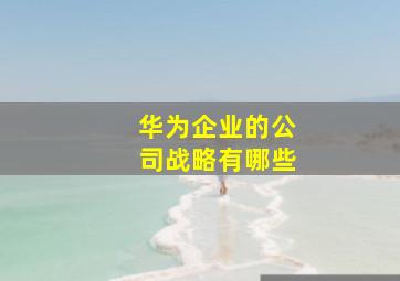 华为企业的公司战略有哪些