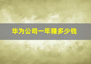 华为公司一年赚多少钱