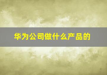 华为公司做什么产品的