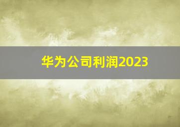 华为公司利润2023