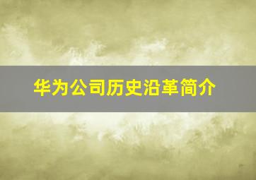 华为公司历史沿革简介