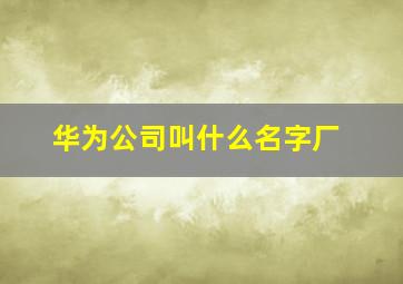 华为公司叫什么名字厂