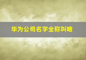 华为公司名字全称叫啥