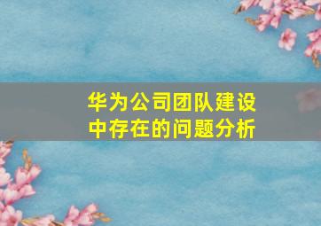 华为公司团队建设中存在的问题分析