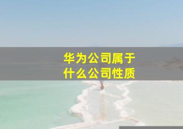 华为公司属于什么公司性质