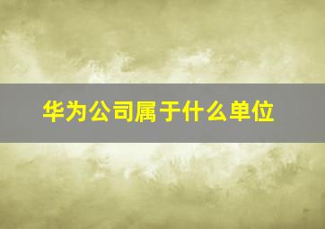 华为公司属于什么单位