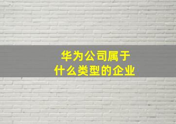 华为公司属于什么类型的企业