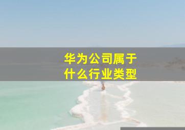 华为公司属于什么行业类型