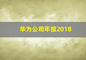 华为公司年报2018