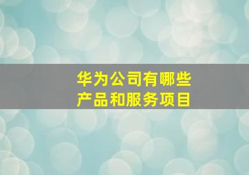 华为公司有哪些产品和服务项目