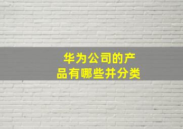 华为公司的产品有哪些并分类