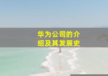 华为公司的介绍及其发展史