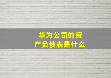 华为公司的资产负债表是什么