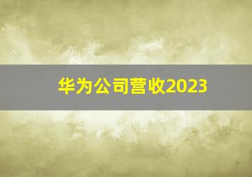 华为公司营收2023