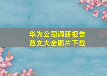 华为公司调研报告范文大全图片下载