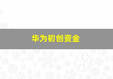 华为初创资金