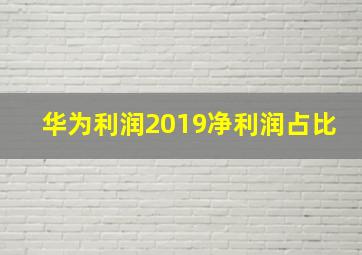 华为利润2019净利润占比