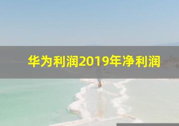 华为利润2019年净利润