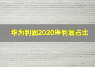 华为利润2020净利润占比