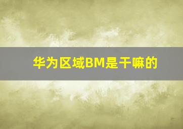 华为区域BM是干嘛的