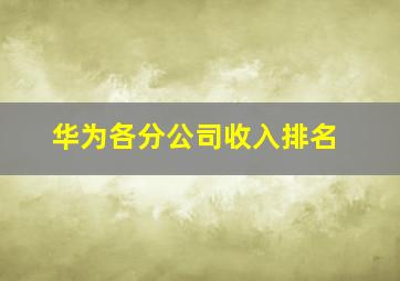 华为各分公司收入排名