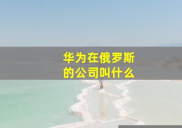 华为在俄罗斯的公司叫什么