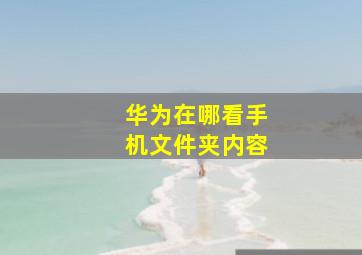 华为在哪看手机文件夹内容