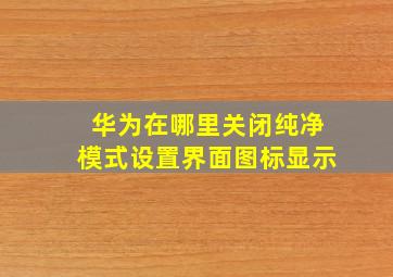 华为在哪里关闭纯净模式设置界面图标显示