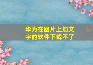 华为在图片上加文字的软件下载不了