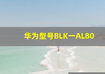 华为型号BLK一AL80